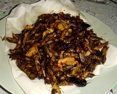 090619-stir-fried-insects